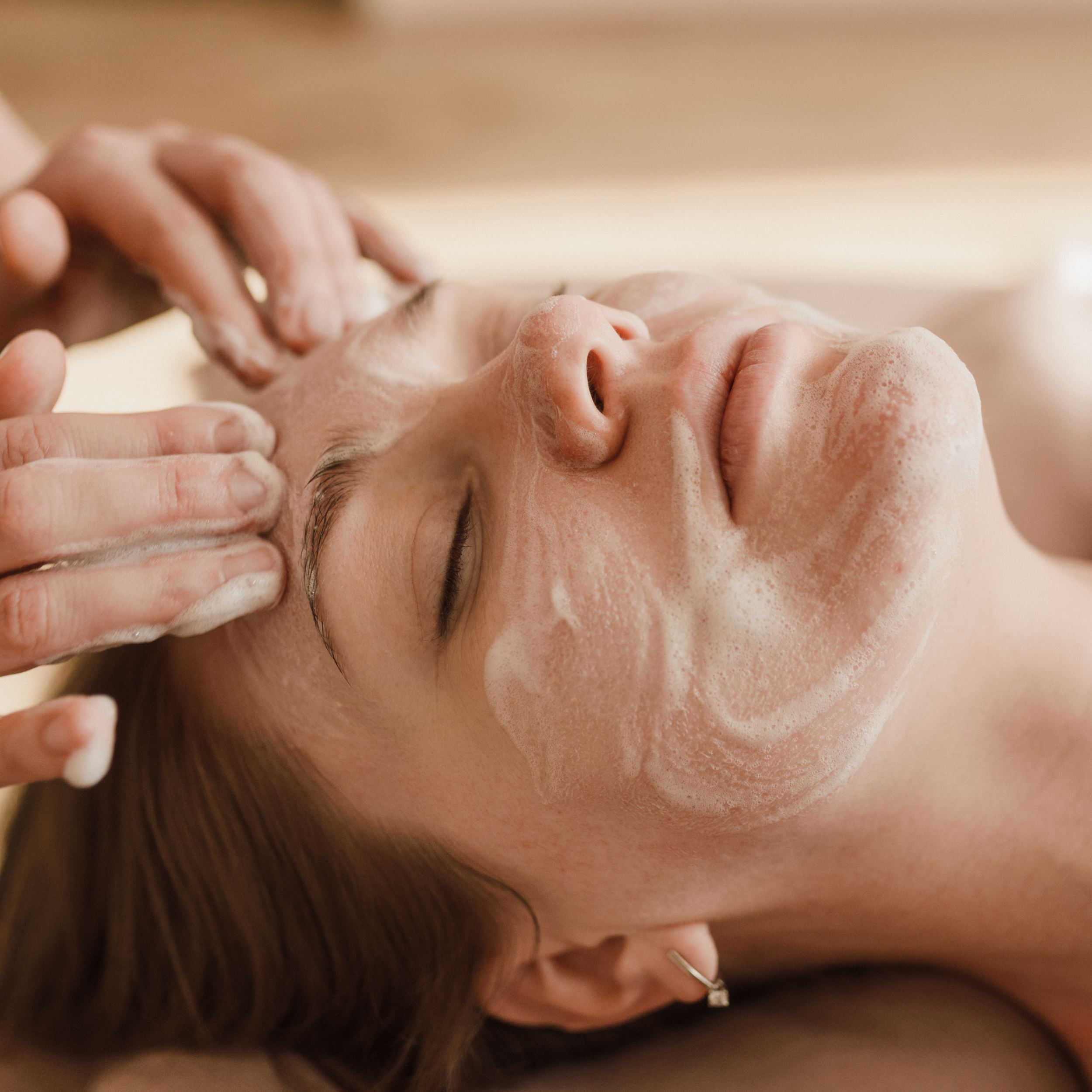 Sistema Tegumentario