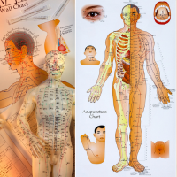 Introducción a la MTCH