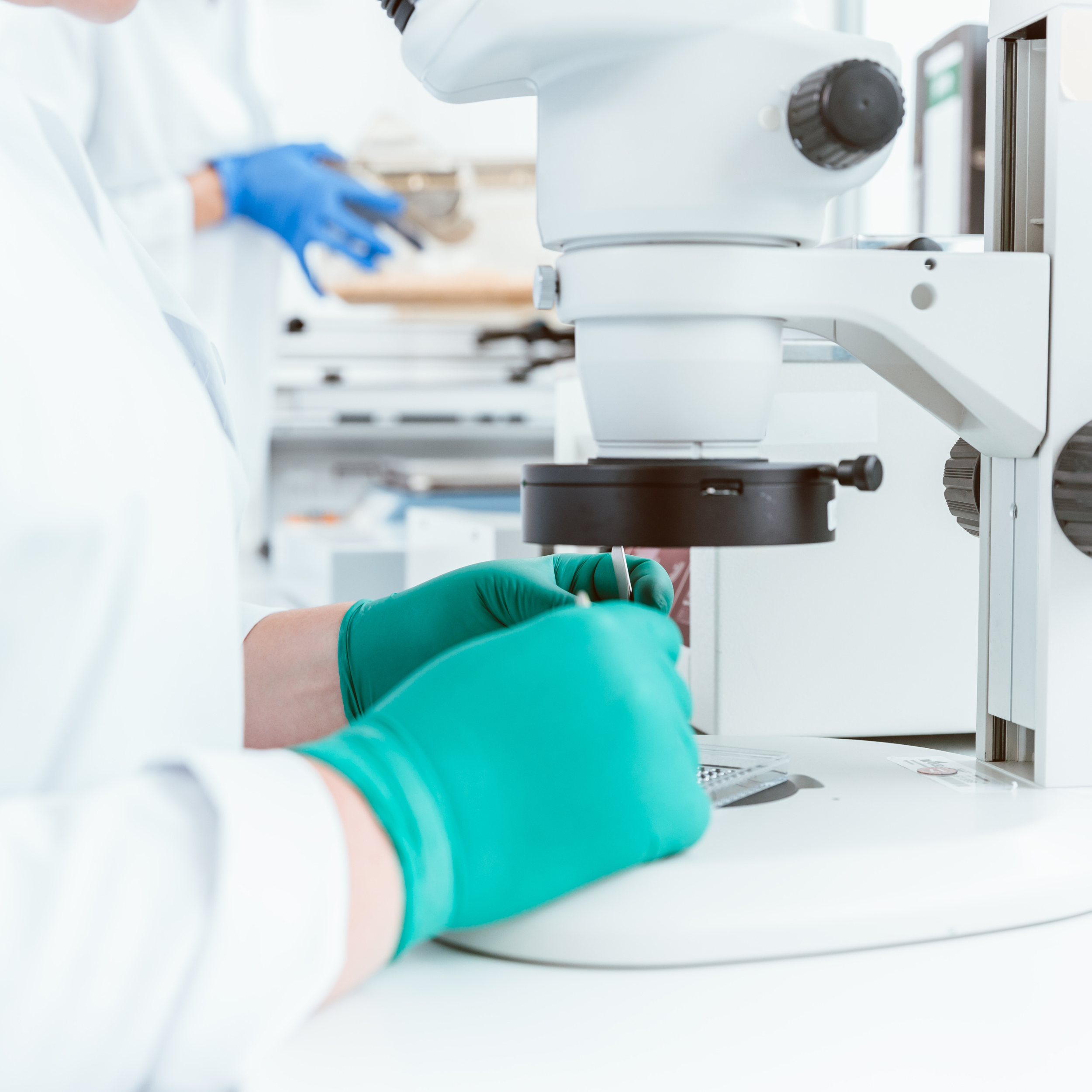 Patologías crónicas y manejo con homeopatía modalización del síntoma